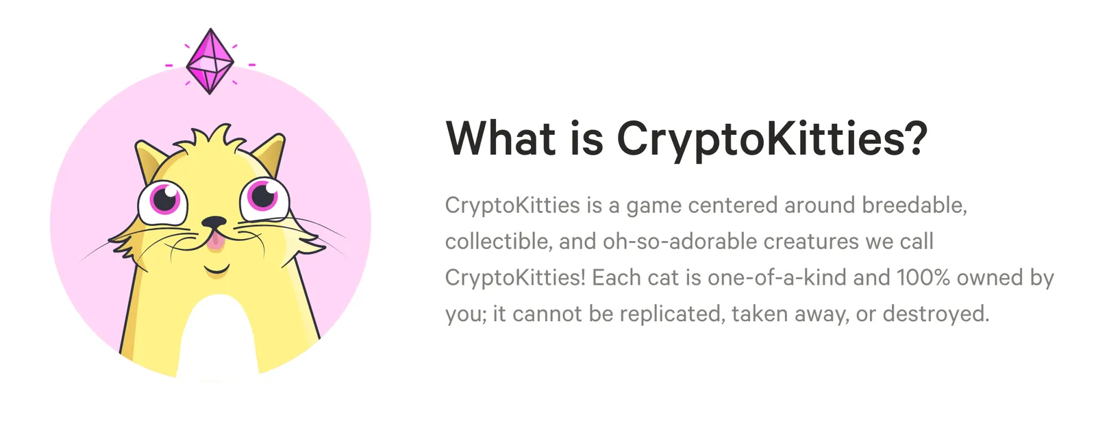 디자인팀에 예산이 부족했던 것일까!?!?!