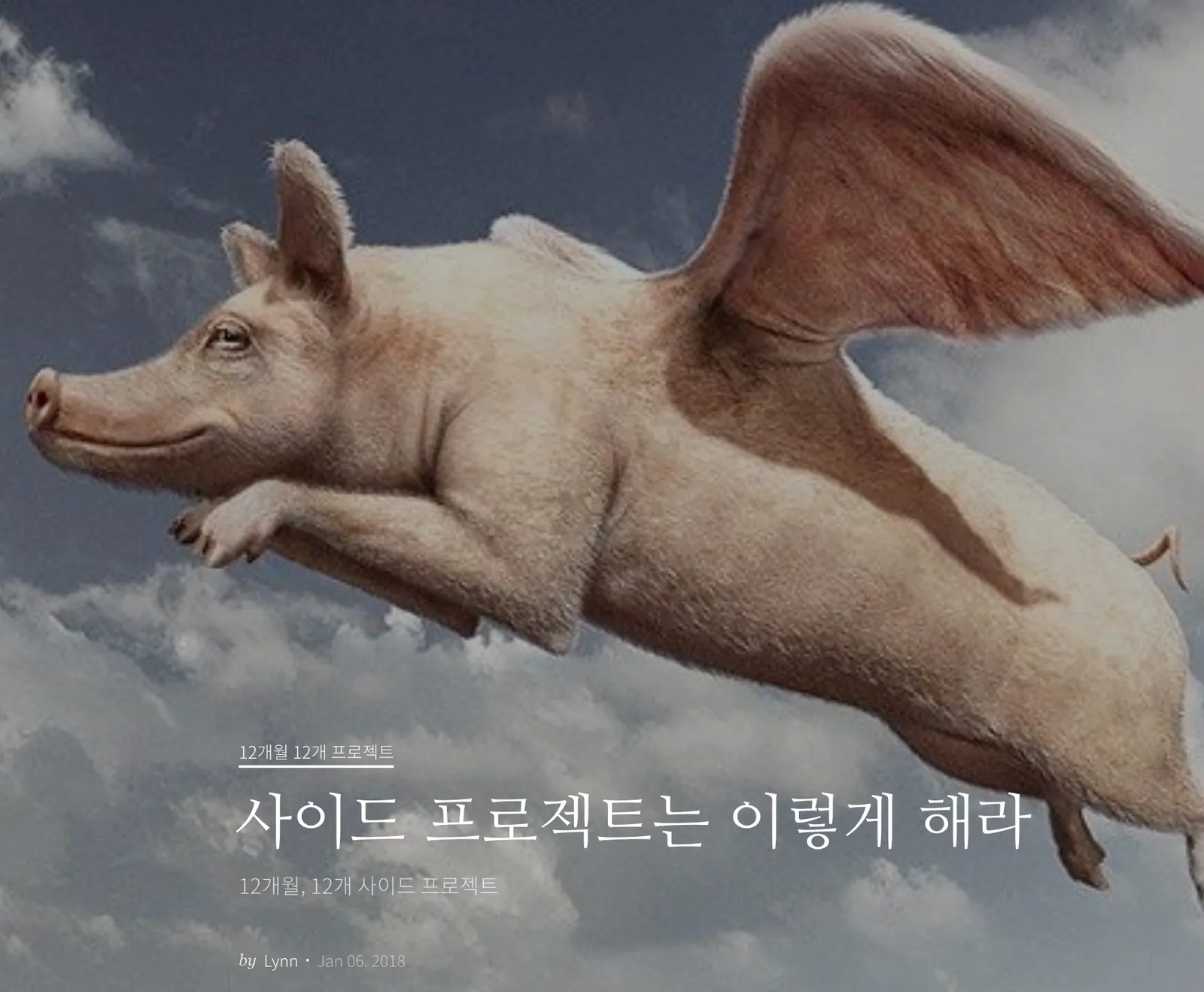 요런 사이드 프로젝트 같은 것을 만들거임
