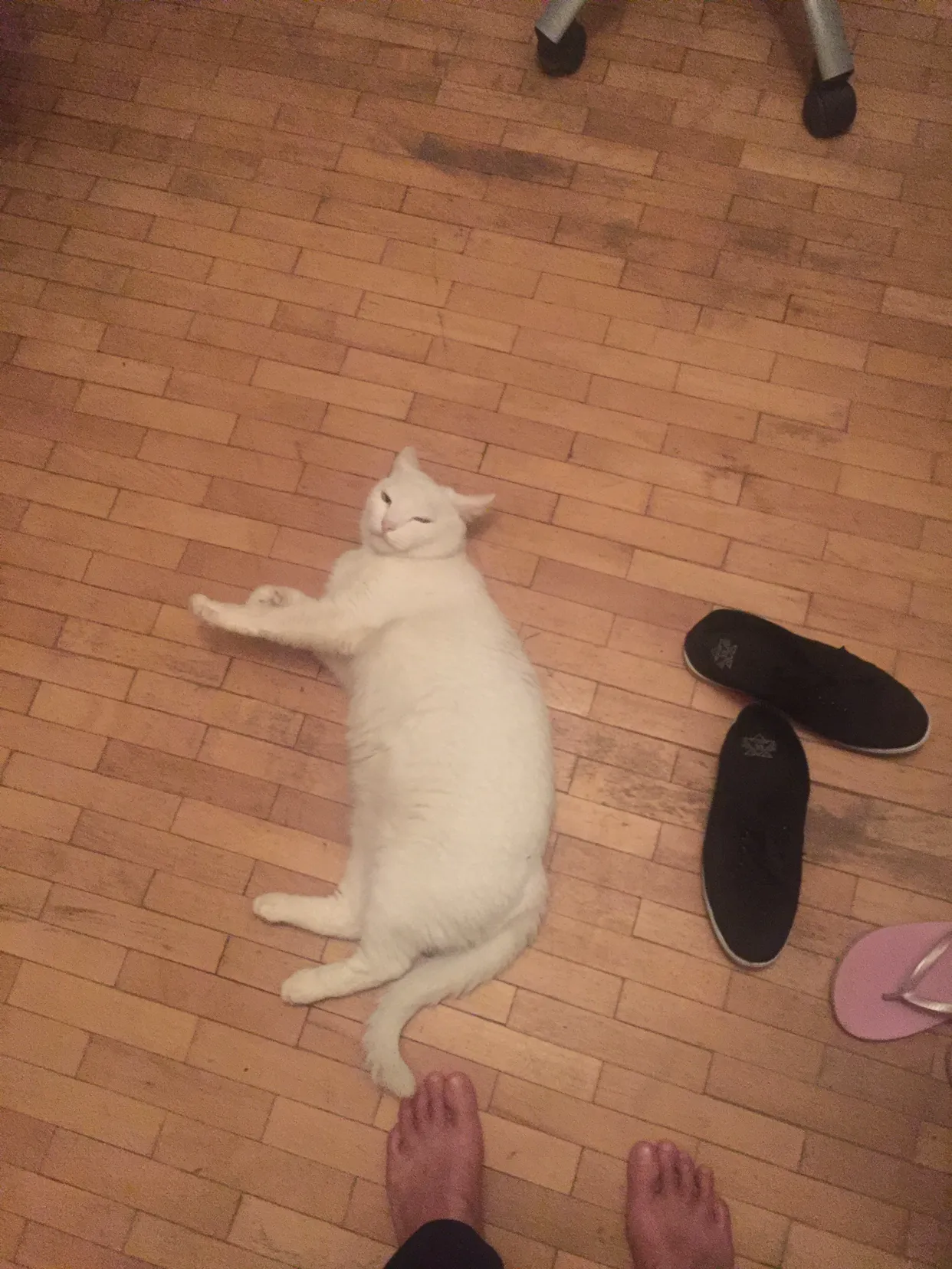 나의 집은 어디인가