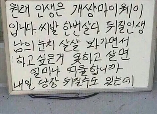 그래. 이거야!