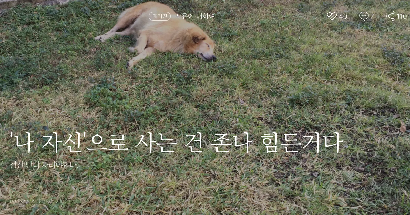 내가썼지만 명언인듯.