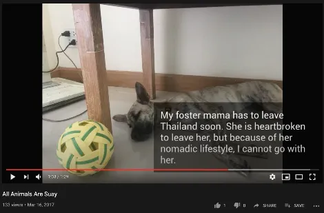 https://youtu.be/uWI3gBTcVRc