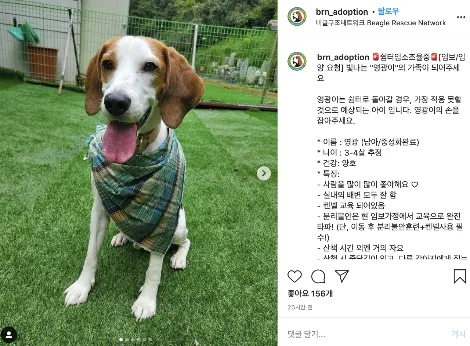 인스타그램에서 자세한 내용들을 다 볼 수 있다!