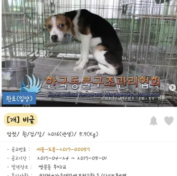 구조 당시 지아의 모습 ㅠㅠ