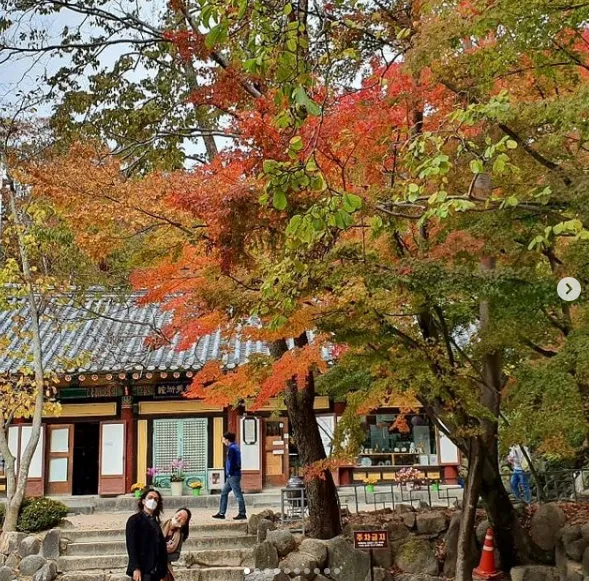 가을의 경주는 진리