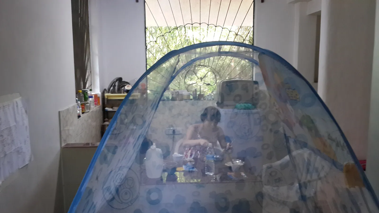 그리하여 설치된 거대한 모기장
