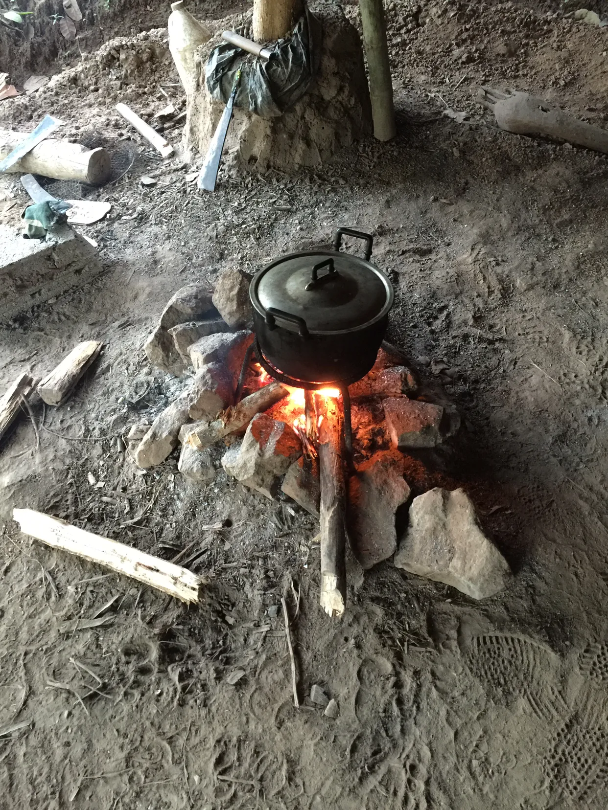 Simple Life